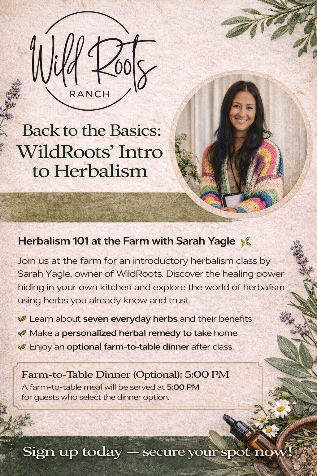 Back to the Basics - WildRoots' Intro to Herbalism