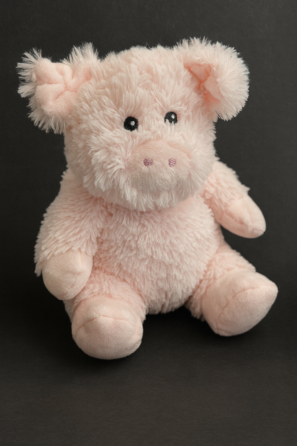 Pig - My First Warmies