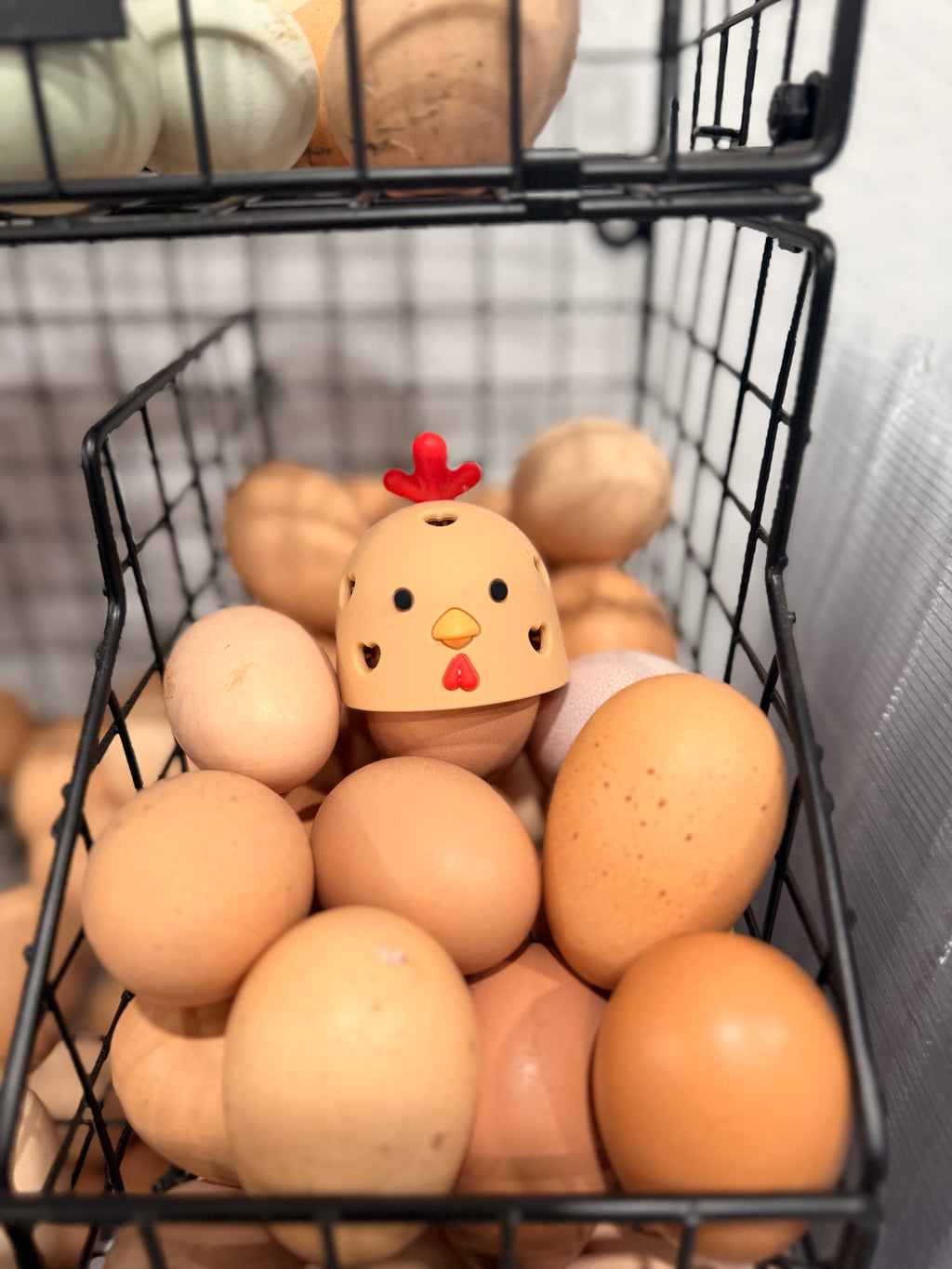 Farm Fresh Eggs - Dozen