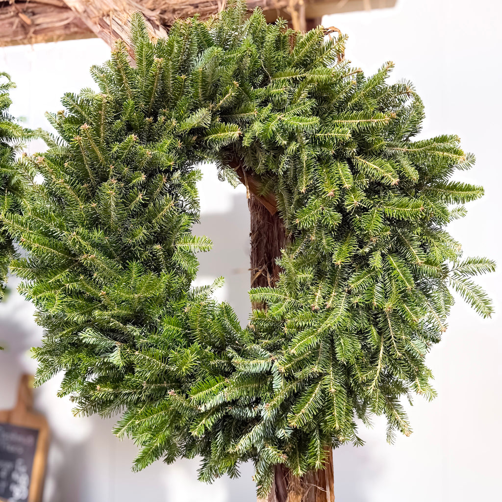 Fraser Fir Wreaths